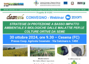 Scopri di più sull'articolo Convegno finale progetto Cleanseed 30 ottobre 2024